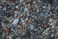 Sphingonotus caerulans is found on a Mediterranean beach on rocks in September. Pefkos or Pefki, Rhodes Island, Greece