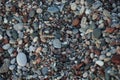 Sphingonotus caerulans is found on a Mediterranean beach on rocks in September. Pefkos or Pefki, Rhodes Island, Greece