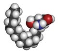 Sphingosine lipid molecule. 3D rendering. Atoms are represented as spheres with conventional color coding: hydrogen white,.