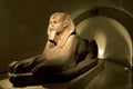 Sphinx Royalty Free Stock Photo