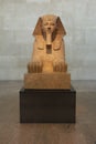 Sphinx