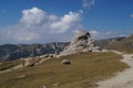 Sphinx of Bucegi, Romania Royalty Free Stock Photo