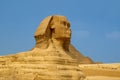 Sphinx cairo egypt Royalty Free Stock Photo