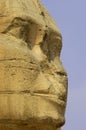 Sphinx cairo egypt Royalty Free Stock Photo