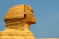 Sphinx cairo egypt Royalty Free Stock Photo