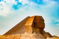 The sphinx in Cairo, Egypt Royalty Free Stock Photo