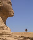 Sphinx and camel Royalty Free Stock Photo