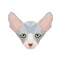 Sphinx cat portrait in low poly style. Cats breed illustr