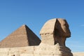 Sphinx Royalty Free Stock Photo