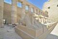 Sphinx figures from the so-called avenue of sphinxes in temple of Karnak, Egypt Royalty Free Stock Photo