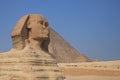 The Sphinx of Giza Royalty Free Stock Photo
