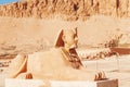 Sphinx guarding the Temple of Queen Hatshepsut