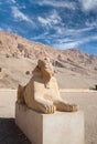 Sphinx of Hatshepsut from her Mortuary temple at Deir el-Bahri near Luxor, Egypt Royalty Free Stock Photo