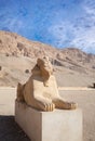 Sphinx of Hatshepsut from her Mortuary temple at Deir el-Bahri near Luxor, Egypt Royalty Free Stock Photo