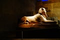 The Sphinx of Hatshepsut 1