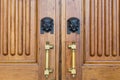 Sphinx heads entrance on wooden door