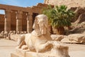 Sphinx. Karnak Temple, Luxor, Egypt Royalty Free Stock Photo