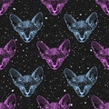 Sphinx kittens. The heads cat on the background of the starry sky, space. Prints for clothes, Space theme, T-shirts