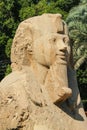 Sphinx of Memphis Royalty Free Stock Photo
