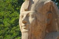 Sphinx of Memphis Royalty Free Stock Photo