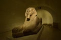 Sphinx, Museum Du Louvre, France, Paris Royalty Free Stock Photo