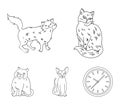 Sphinx, nibelung,norwegian forest cat and other species. Cat breeds set collection icons in outline style vector symbol