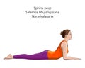 Sphinx pose. Salamba Bhujangasana