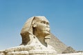 Sphinx Profile Royalty Free Stock Photo