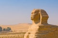 Sphinx and pyramids at Giza, Cairo Royalty Free Stock Photo