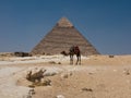 Sphinx and Pyramids of Giza in Cairo Egypt