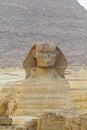 Sphinx sculpture and the Cheops pyramid in Giza Egypt Royalty Free Stock Photo
