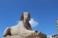 Sphinx of Serapeum and Pompey`s Pillar