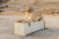The Sphinx stand at the entrance of the great temple of Queen Hatshepsut in Luxor Royalty Free Stock Photo