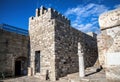 Sphinx statue the Bodrum Castle Royalty Free Stock Photo