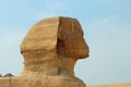 Sphinx statue in Giza Egypt. Ancient architecture Royalty Free Stock Photo