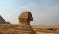 Sphinx statue in Giza Egypt. Ancient architecture Royalty Free Stock Photo