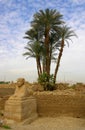Sphinx statue at the Karnak temple in Egypt Royalty Free Stock Photo