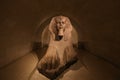 Sphinx of Tanis, The Louvre, Paris, France Royalty Free Stock Photo