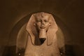 Sphinx of Tanis, The Louvre, Paris, France Royalty Free Stock Photo