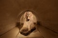 Sphinx of Tanis, The Louvre, Paris, France Royalty Free Stock Photo