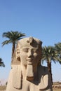 Sphinx Temple of Luxor Egypt Royalty Free Stock Photo