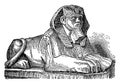 Sphinx is a zoomorphic mythological figure, vintage engraving