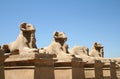 Sphinxes alley