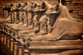Sphinxes avenue at Karnak Temple (Luxor, Egypt)