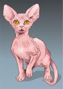 Sphynx