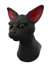 Sphynx black cat