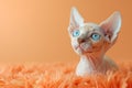 Sphynx cat with blue eyes on a peach fuzz background. The image is generated with the use of an AI.