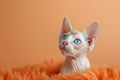 Sphynx cat with blue eyes on a peach fuzz background. The image is generated with the use of an AI.