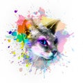 Sphynx cat in colorful paint splashes, paint splashes art design Royalty Free Stock Photo