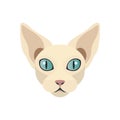 Sphynx cat face, cute head portrait of hairless kitten with no fur